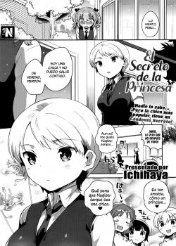 El Secreto de la Princesa