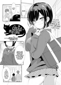 Gata en la Cama