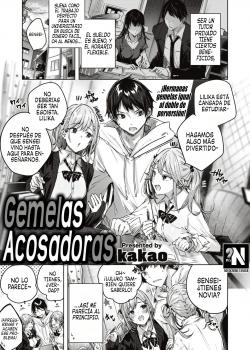 Gemelas Acosadoras