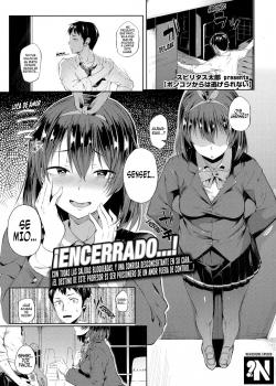 No hay Escapatoria de Está Tonta