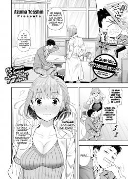 Querida vida sexual escolar ~El caso de Chie-Sensei~